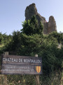 Ruines du Château de Montaillou