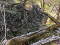 Ruines du hameau de l'Avenquet