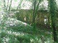 Ruines du monastère de Prébayon