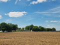 ruines gallo-romaines