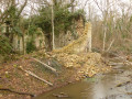 Forêt de Bréviande et Menhir du Grand Berger