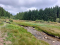 Ruisseau alimentant le barrage