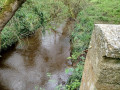 ruisseau dans la campagne