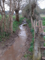 Ruisseau dans le sentier