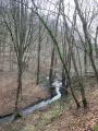 Les Bois de Wanhériffe depuis Bas-Oha