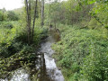 Circuit des Gabelous au départ d'Anor (version longue)