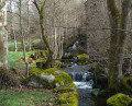 Ruisseau des Brossettes