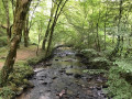 ruisseau du Maumont blanc