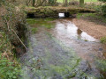 Pont-Neuf stream, a tributary of the Odet.