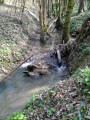 Des bords du Tarn à Varennes en boucle