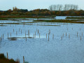 Schulensmeer et Schulensbroek