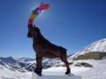 Sculpture au col de la Lombarde