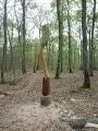 Campagne et massif Nord-Est de la Forêt de Montargis