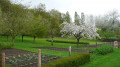 Sente des jardins de la Basse Côte