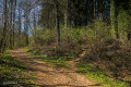 Sentier à droite