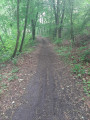 Sentier à flanc de terril