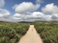 Sentier a travers les bruyères