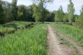 Sentier agréable le long du Saucats