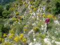 Sentier après le cairn