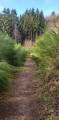 Sentier avant d'entrer en forêt