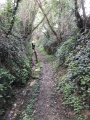 Sentier avant le moulin du stang