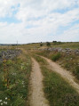 Les quatre chemins à proximité d'Aumont-Aubrac