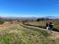 Sentier biodiversité (boucle n°2)