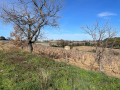 Sentier biodiversité (boucle n°2)