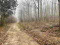 Sentier botanique du Bois du Chapitre