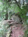 Sentier, côté haut de la randonnée