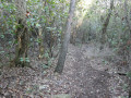 Sentier dans la colline Tante Victoire