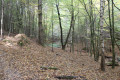 Sentier dans la for&ecirc;t le long du ruisseau