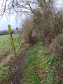 Sentier dans le bois