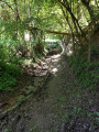 Sentier de Balmones