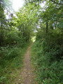 Sentier de cheminement - Réserve des Monts de Baives