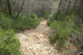 Sentier de crête très rocailleux