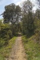 Sentier de Larroque