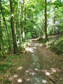 Sentier de randonnée ombragé