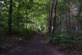 Sentier découvert pendant la rando