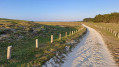 Sentier derrière les dunes