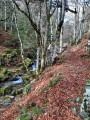 sentier des cascades en automne