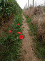 La plaine de la Grange du Breuil