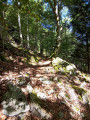 Sentier en forêt et au milieu des moraines à Mittlach