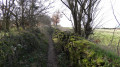 sentier du début de balade.