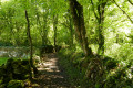 Sentier du lavoir