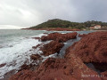 Du Port de Santa Lucia à celui d'Agay, par le sentier littoral