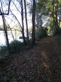 Sentier du Loiret