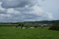 Sentier du Mont Noir