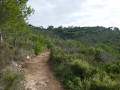 Sentier du parcours sportif