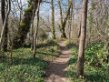 Sentier en bord d'Ariège